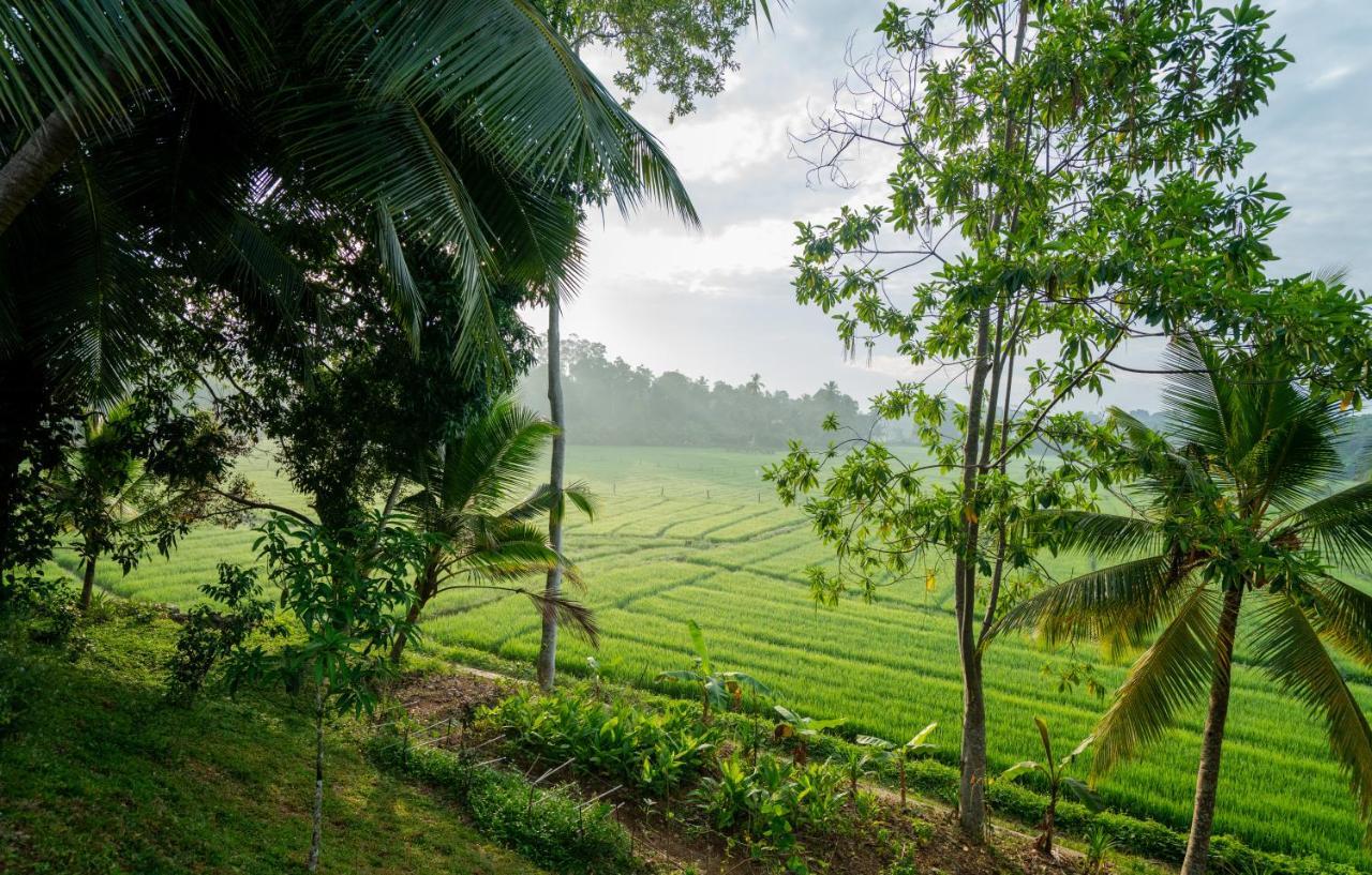 Villa Alba - Ahangama Buitenkant foto